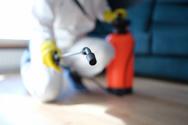 Best Comprehensive Air Testing for Mold Contaminants  in Chesilhurst, NJ